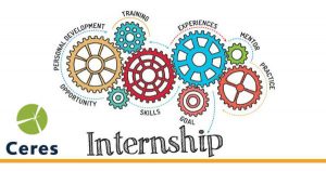 Internship Program