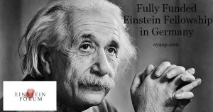 Einstein Fellowship