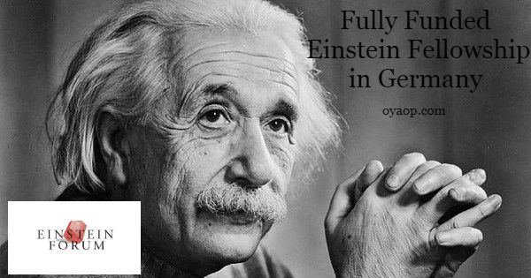 Einstein Fellowship