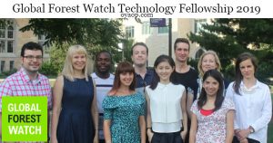 Global Forest Watch Technology Fellowship