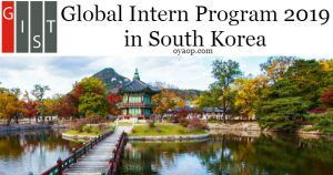 Global Intern Program