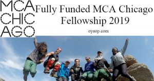 MCA Chicago Fellowship