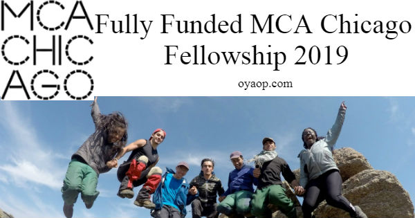 MCA Chicago Fellowship