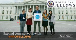 Professional Fellows Program