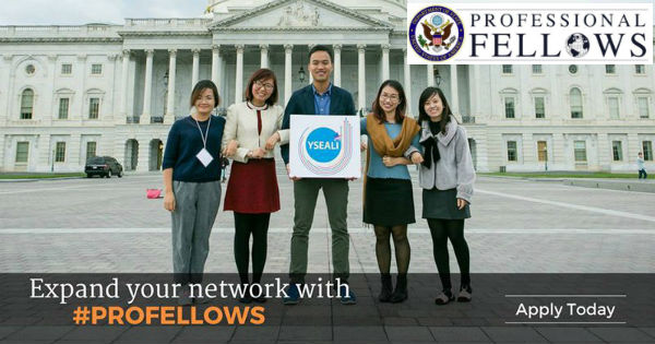Professional Fellows Program