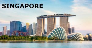 International Conference on Science Technology and Management in Singapore