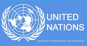 Internship at United Nations