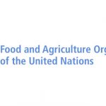 Information Technology Officer Job in FAO
