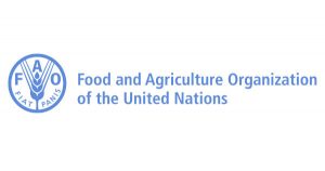 Information Technology Officer Job in FAO