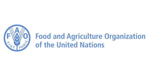 Information Technology Officer Job in FAO
