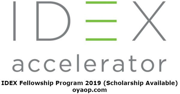IDEX Fellowship Program 2019 (Scholarship Available)