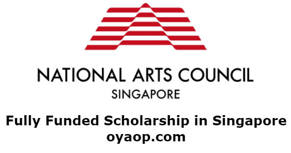 Fully Funded Scholarship in Singapore