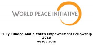 Fully Funded Alafia Youth Empowerment Fellowship 2019