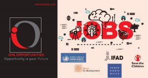 Job in INGO: Hurry up and Apply Now!