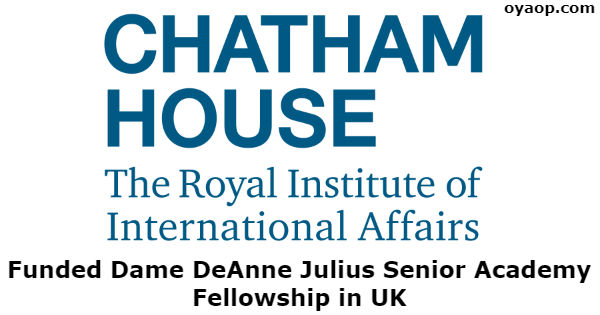 Funded Dame DeAnne Julius Senior Academy Fellowship in UK