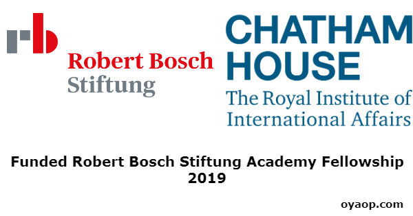 Funded Robert Bosch Stiftung Academy Fellowship 2019