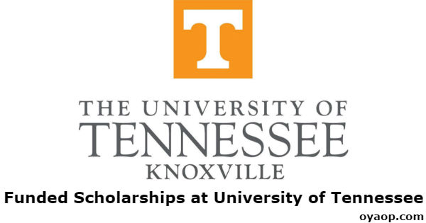 Funded Scholarships at University of Tennessee