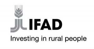 Technical Specialist in International Fund for Agricultural Development (IFAD)
