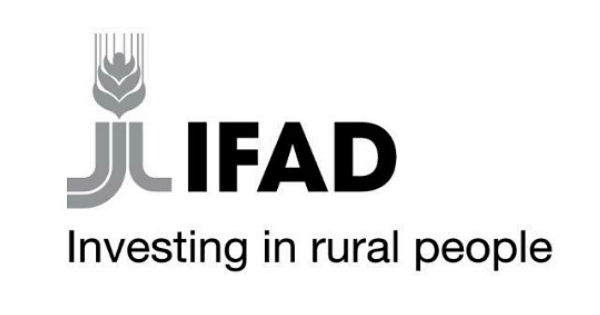 Technical Specialist in International Fund for Agricultural Development (IFAD)