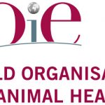 Administrative Assistant in World Organisation for Animal Health