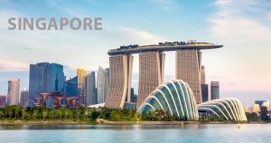 International Conference on Environment and Natural Science in Singapore