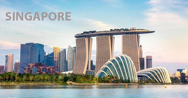 International Conference on Environment and Natural Science in Singapore