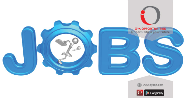 International Job Opportunities: Top 5 Jobs