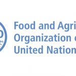 Human Resources Officer in FAO, Italy