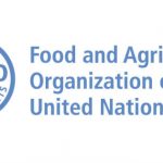 Strategic Programme Leader in FAO, Italy