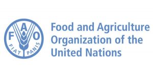 Strategic Programme Leader in FAO, Italy