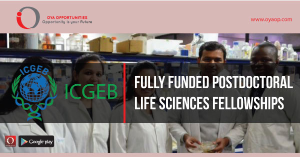 Fully Funded Postdoctoral Life Sciences Fellowships, oyaop, oyaop.com, www.oyaop.com, oyaop opportunities, oya opportunities