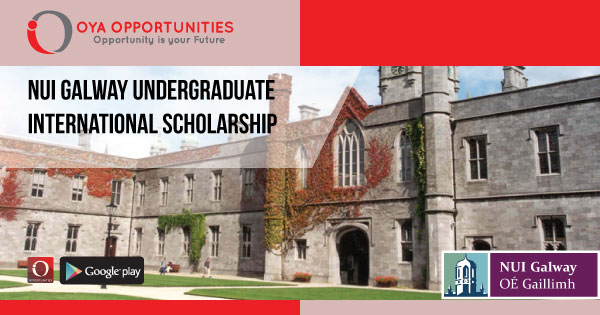 NUI Galway Undergraduate International Scholarship