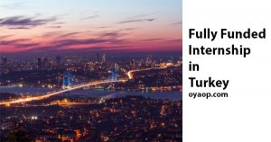 Fully Funded Internship in Turkey