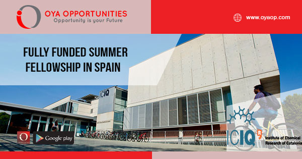 Fully Funded Summer Fellowship in Spain