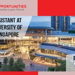 Research Assistant at National University of Singapore, Singapore