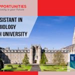 Research Assistant in Molecular Biology at Maynooth University