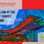 Research Fellow in Applied Psychology, University of Surrey