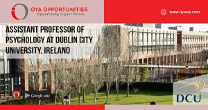 Assistant Professor in Psychology at Dublin City University
