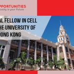 Postdoctoral Fellow in Cell Biology at the University of Hong Kong