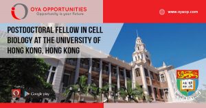 Postdoctoral Fellow in Cell Biology at the University of Hong Kong