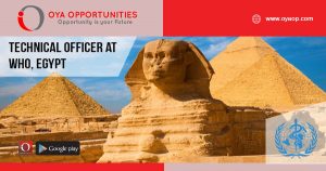 Technical Officer at WHO, Egypt