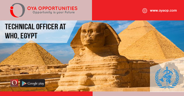 Technical Officer at WHO, Egypt