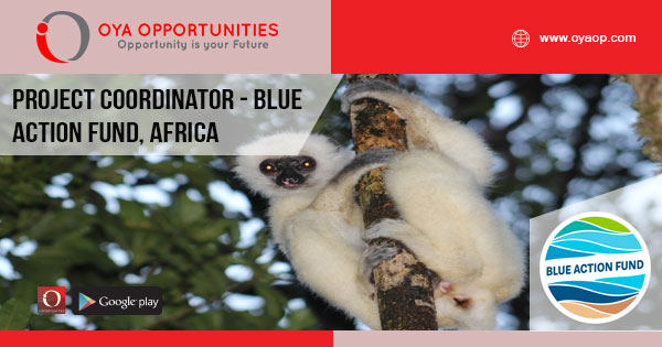 Project Coordinator - Blue Action Fund, Africa