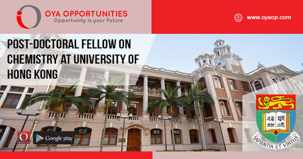 Post-doctoral fellow on Chemistry at University of Hong Kong