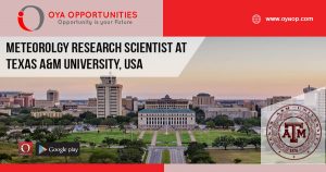 Research Jobs at Texas A&M University, USA