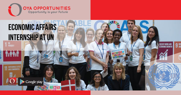 Economic Affairs Internship at UN