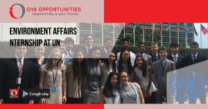 Environment Affairs Internship at UN