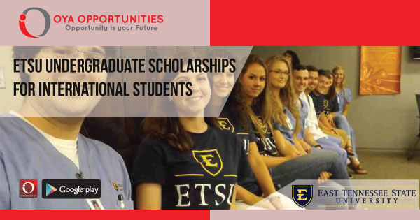 ETSU Undergraduate Scholarships for International Students