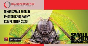 Nikon Small World Photomicrography Competition 2020