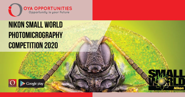 Nikon Small World Photomicrography Competition 2020